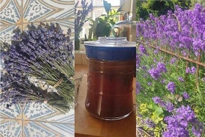 How to make Lavender Kombucha