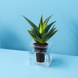 Boskke Cube Clear Planter Triple-Pack Offer - 2tech ltd