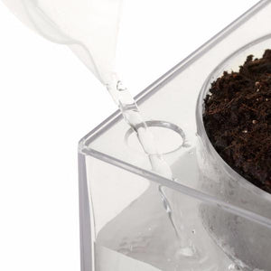 Boskke Cube Clear Planter Triple-Pack Offer - 2tech ltd