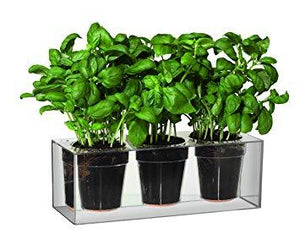 Boskke Cube Transparent Planter - 2tech ltd