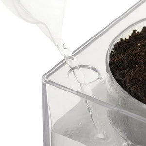 Boskke Cube Transparent Planter - 2tech ltd