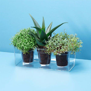 Boskke Cube Transparent Planter - 2tech ltd