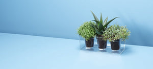 Boskke Cube Transparent Planter - 2tech ltd